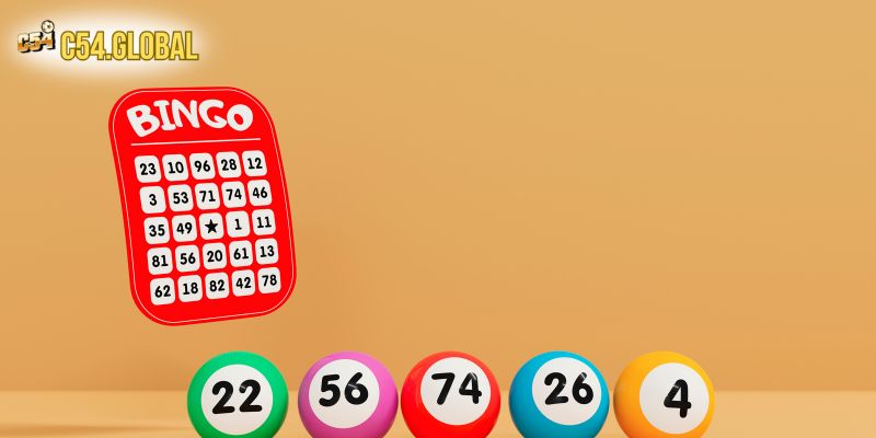 Lô Bạch Thủ Khung 5 Ngày - Cẩm Nang Chi Tiết Cách Nuôi